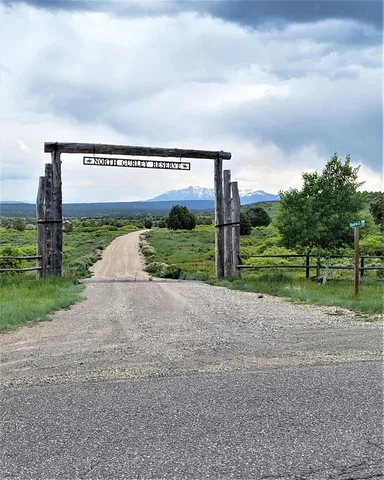 a view of a dry yard with wooden fence