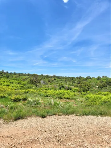 a view of a yard with an ocean