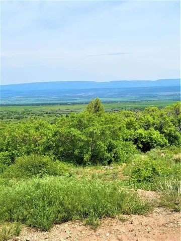 a view of a green field with lots of trees