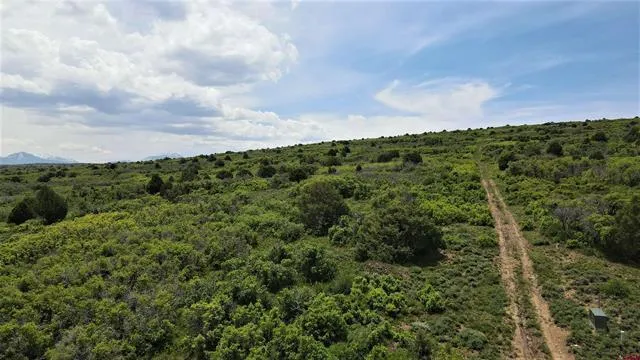 a view of a city with lush green forest