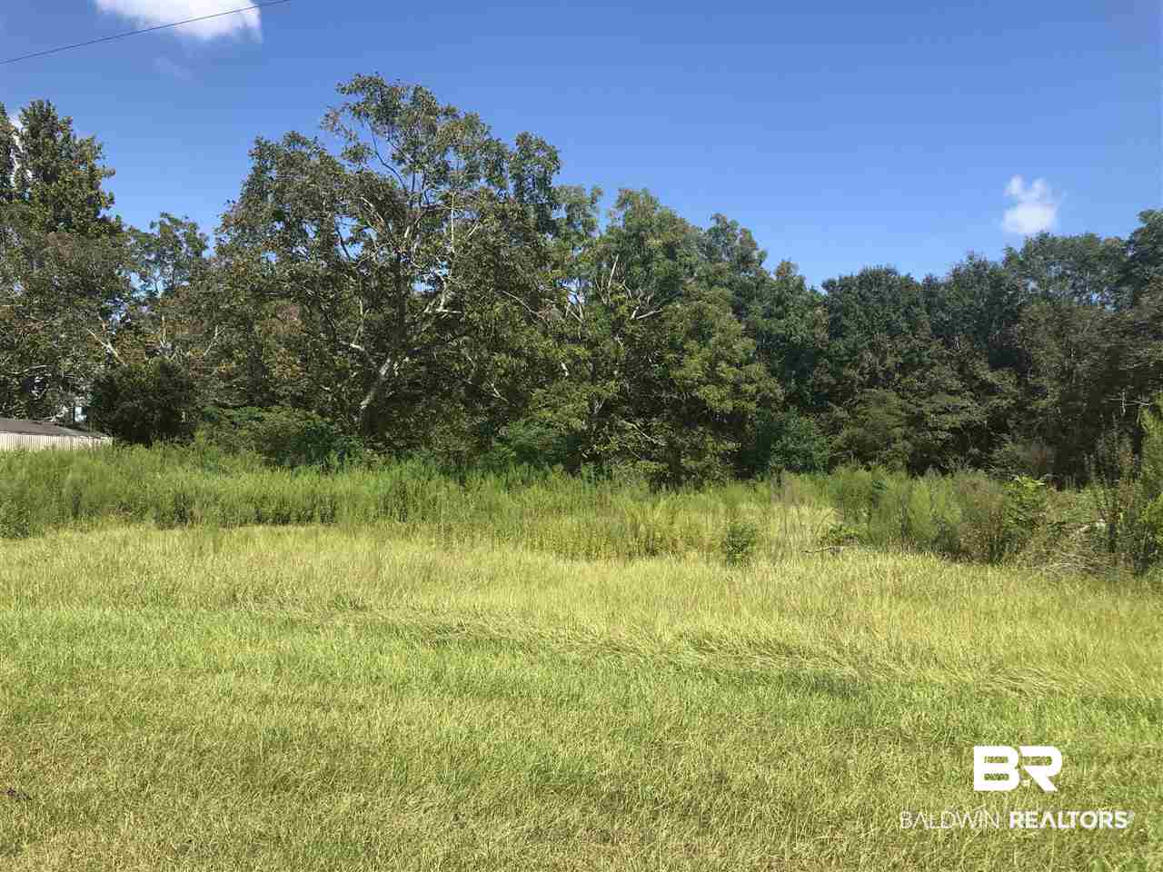 20980 Brinks Willis Road Foley, AL 36535 - Photo 13 of 19