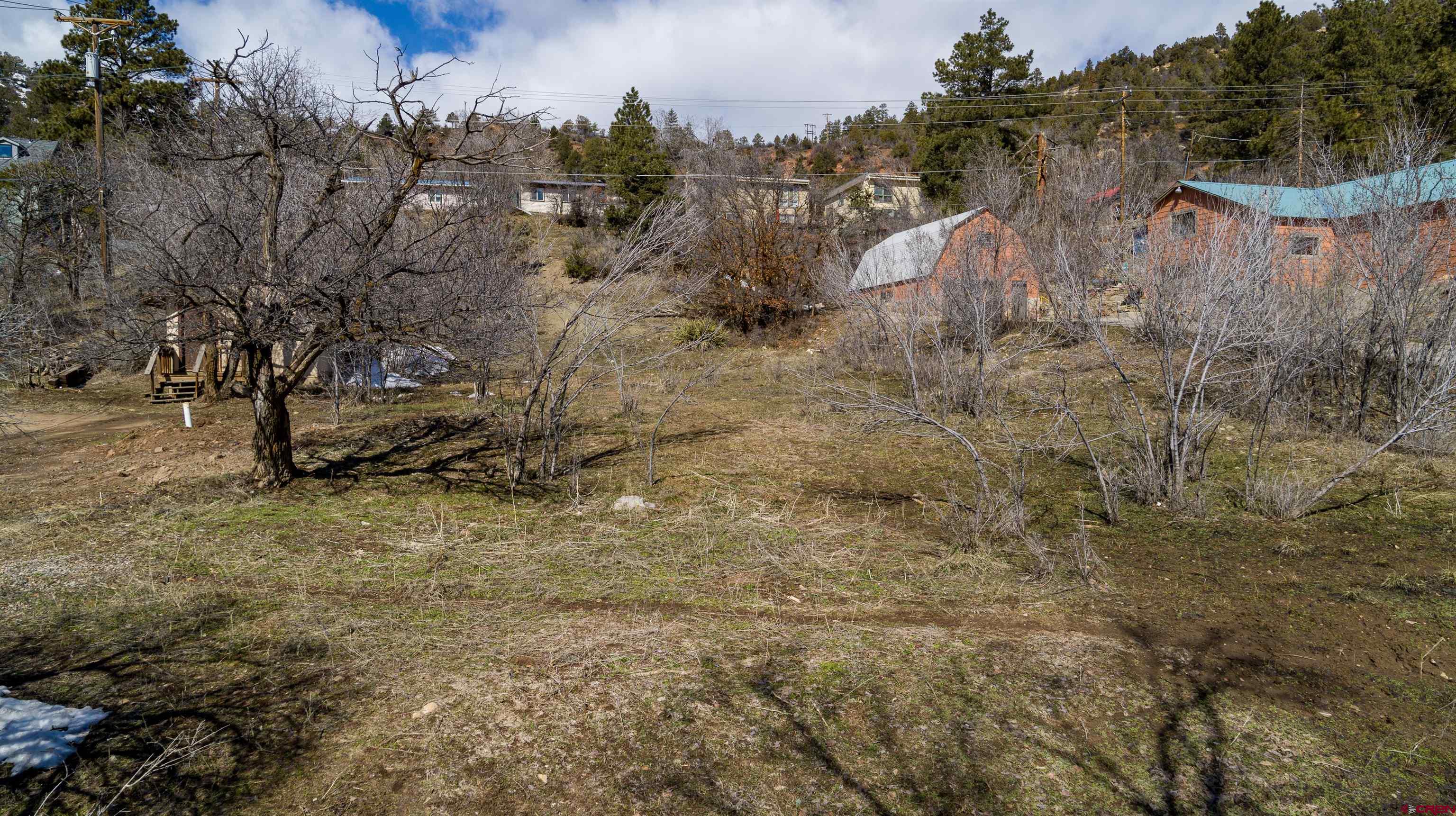 3211 West 2nd Avenue Durango, CO 81301 - Photo 20 of 22 a view of a dry yard with trees