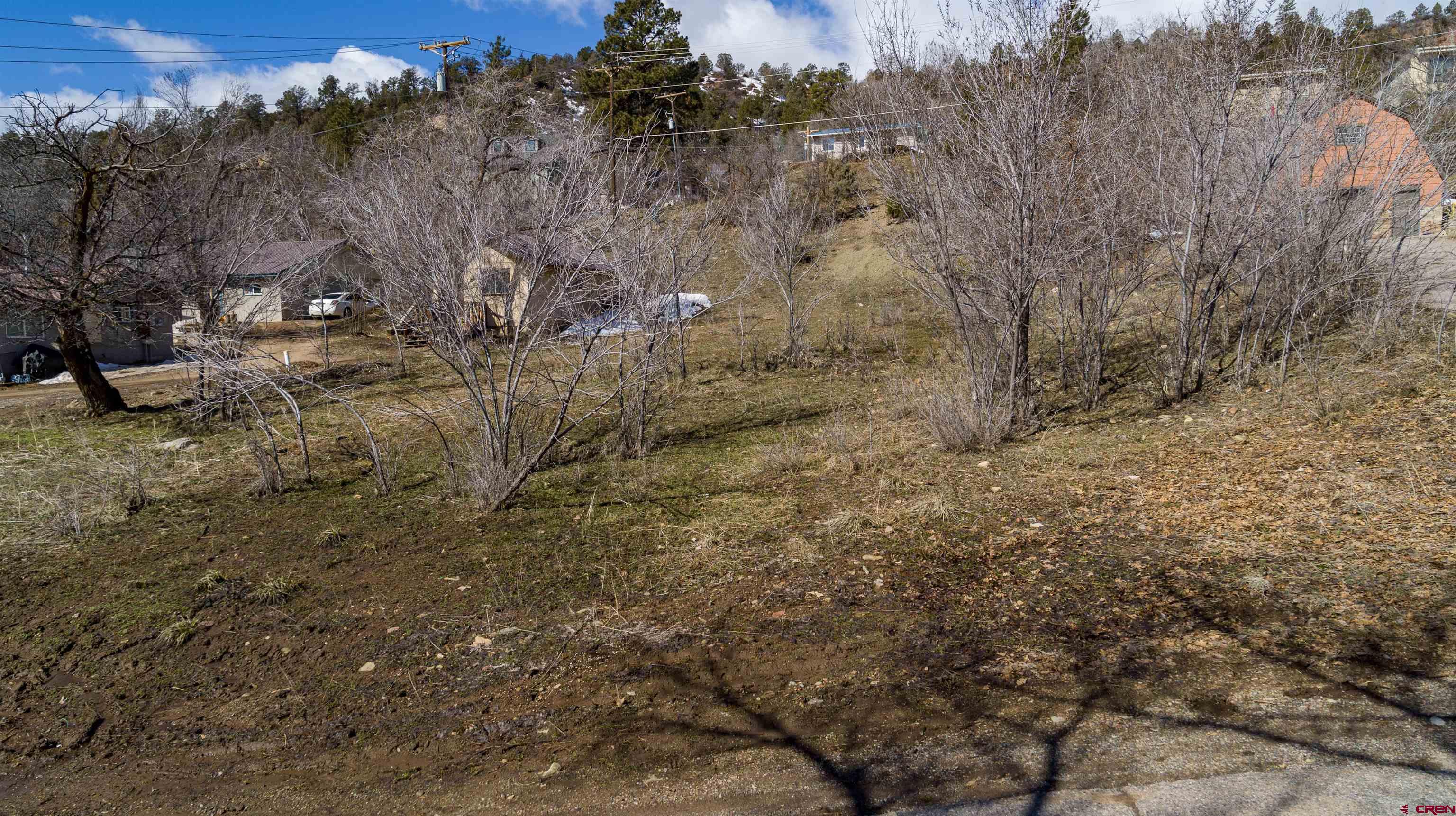 3211 West 2nd Avenue Durango, CO 81301 - Photo 21 of 22 a view of a dry yard with trees