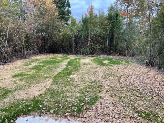 211 Sims Lane Tullahoma, TN 37388 - Photo 3 of 6 a view of outdoor space and yard
