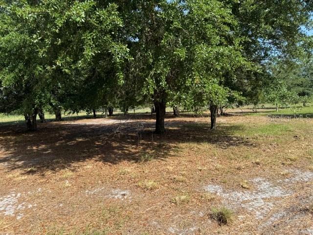 7214 Oil Well Road Clermont, FL 34714 - Photo 6 of 16 a view of outdoor space with trees