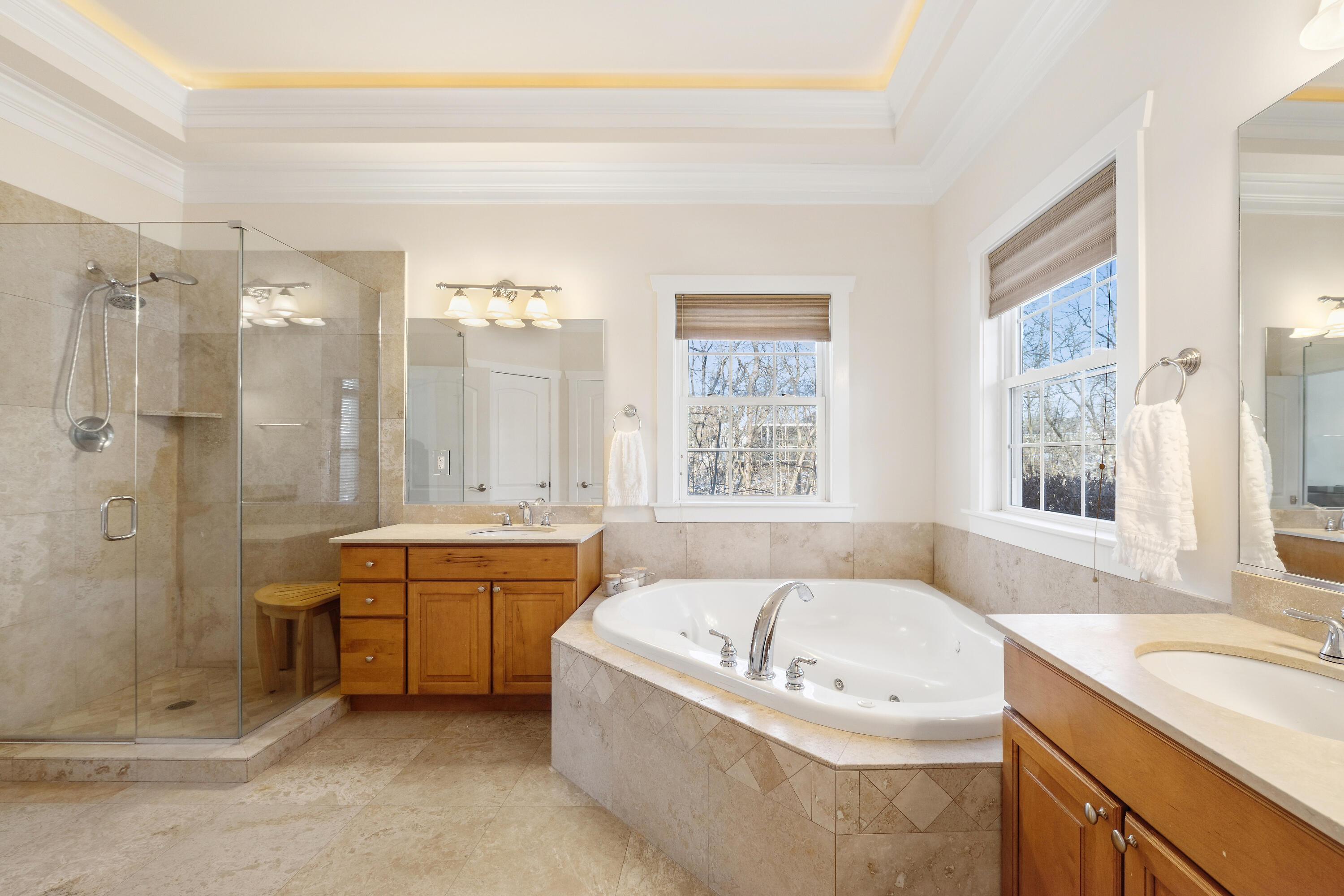 1530 Prestwick Place Geneva, WI 53147 - Photo 12 of 30 Primary bath w/double vanities, glass shower, jetted tub and dual closets