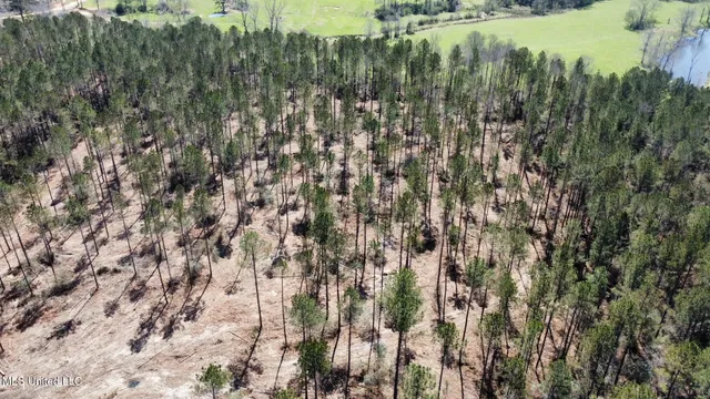 $540,000 | 0 Highway 478 New Hebron Ms 39140, Newhebron, MS 39140