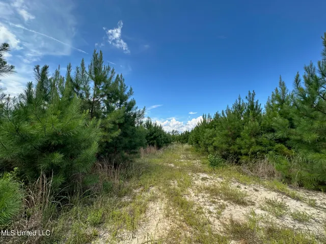 $540,000 | 0 Highway 478 New Hebron Ms 39140, Newhebron, MS 39140
