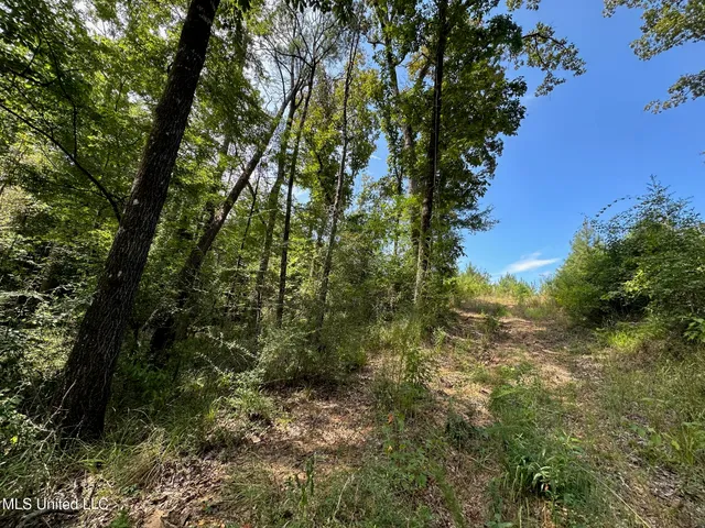 $540,000 | 0 Highway 478 New Hebron Ms 39140, Newhebron, MS 39140