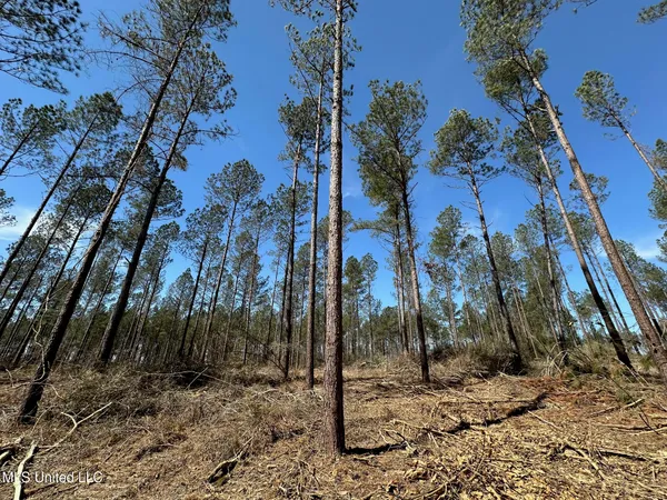 $375,000 | 0 Highway 478 New Hebron Ms 39140, Newhebron, MS 39140