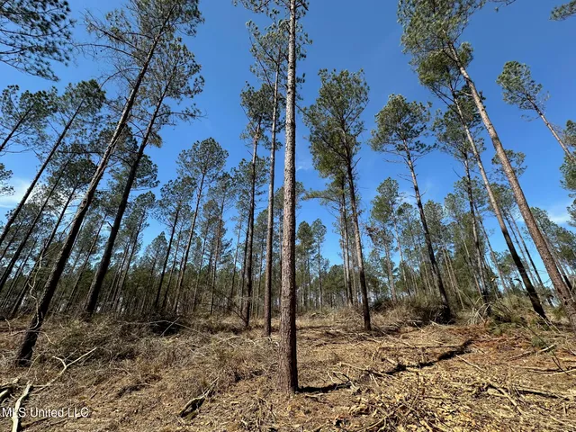 $540,000 | 0 Highway 478 New Hebron Ms 39140, Newhebron, MS 39140