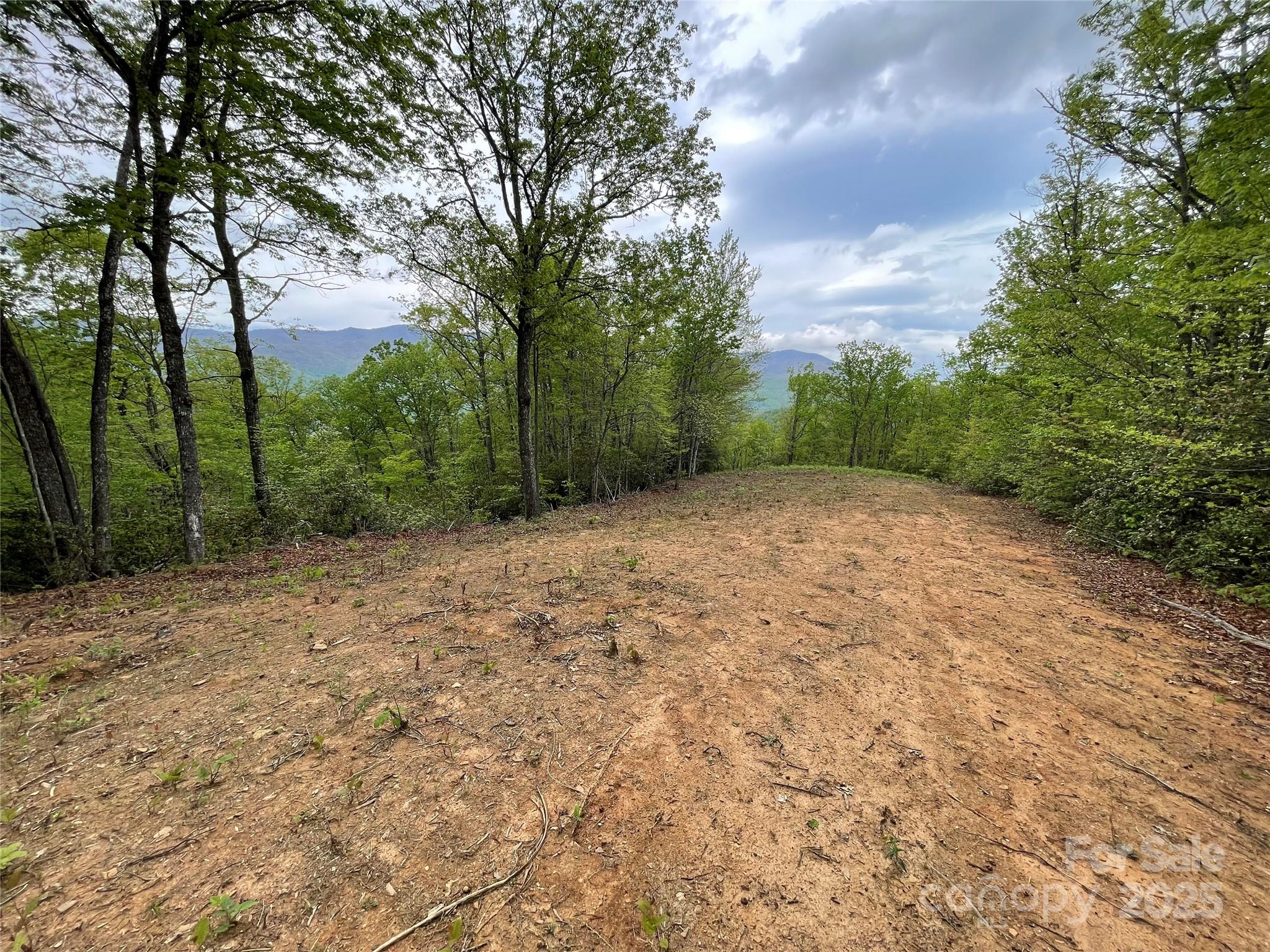 930 Copperhead Cove Road Sylva, NC 28779 - Photo 14 of 48 a view of a yard with trees