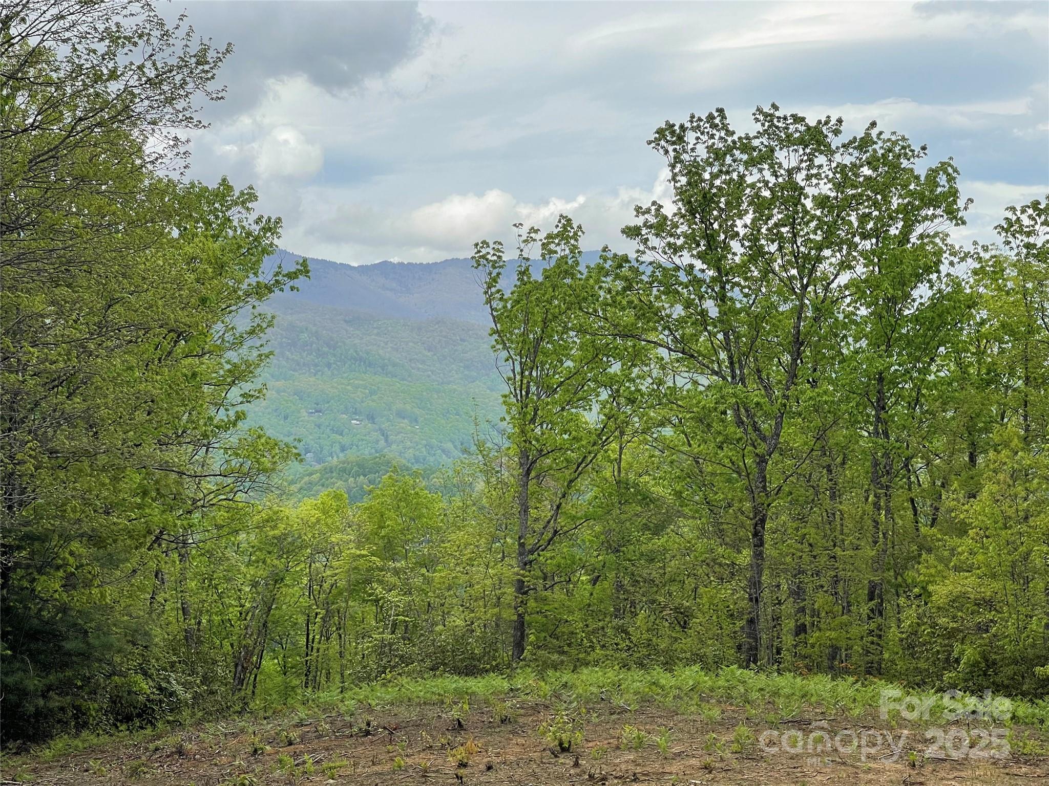 930 Copperhead Cove Road Sylva, NC 28779 - Photo 16 of 48 a view of a yard