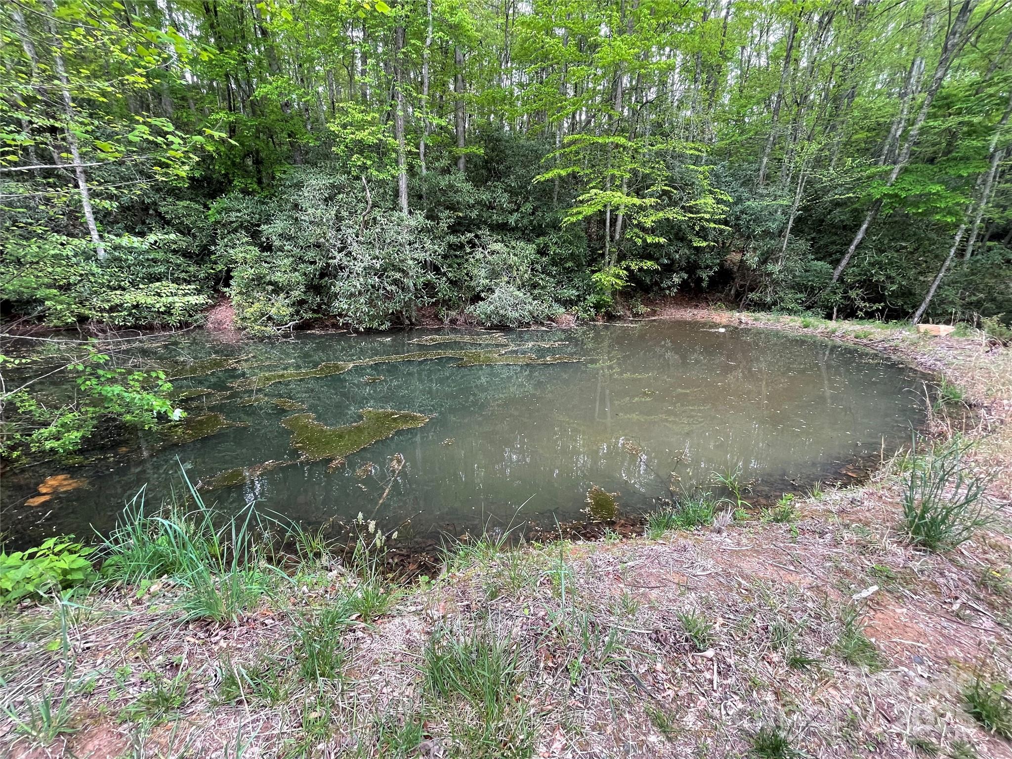 930 Copperhead Cove Road Sylva, NC 28779 - Photo 17 of 48 a view of a lake with a yard