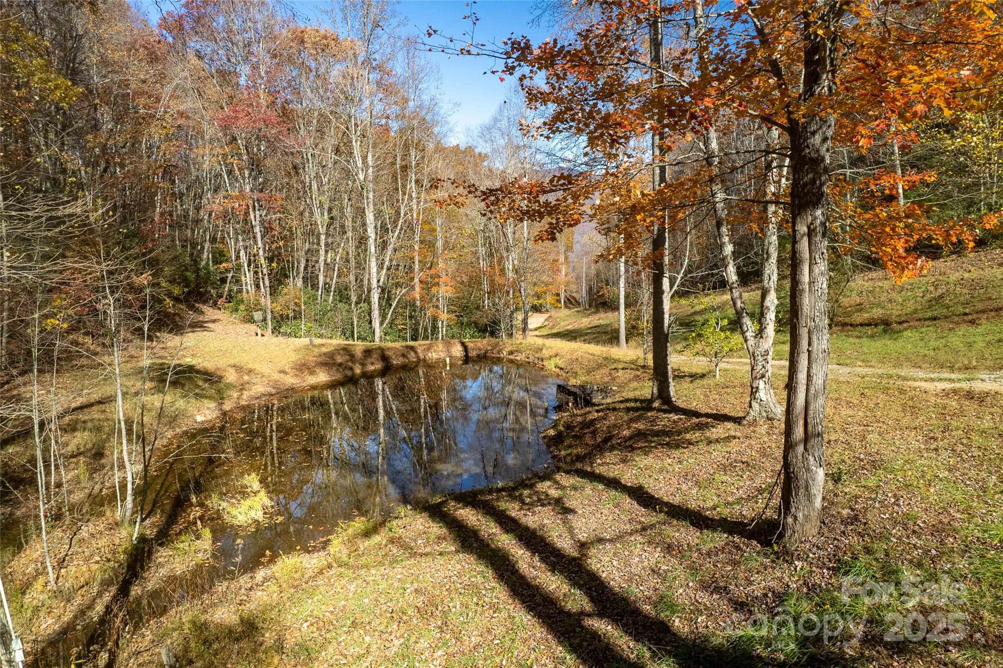 930 Copperhead Cove Road Sylva, NC 28779 - Photo 3 of 48 a view of a yard with trees