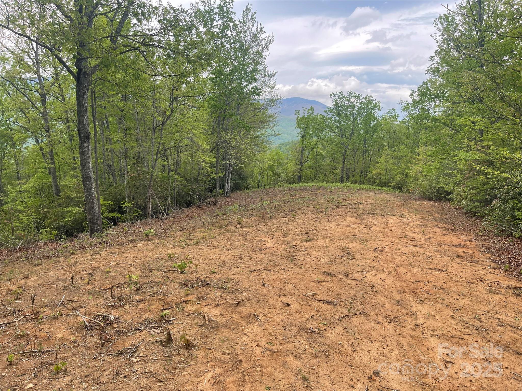 930 Copperhead Cove Road Sylva, NC 28779 - Photo 36 of 48 a view of a yard with trees