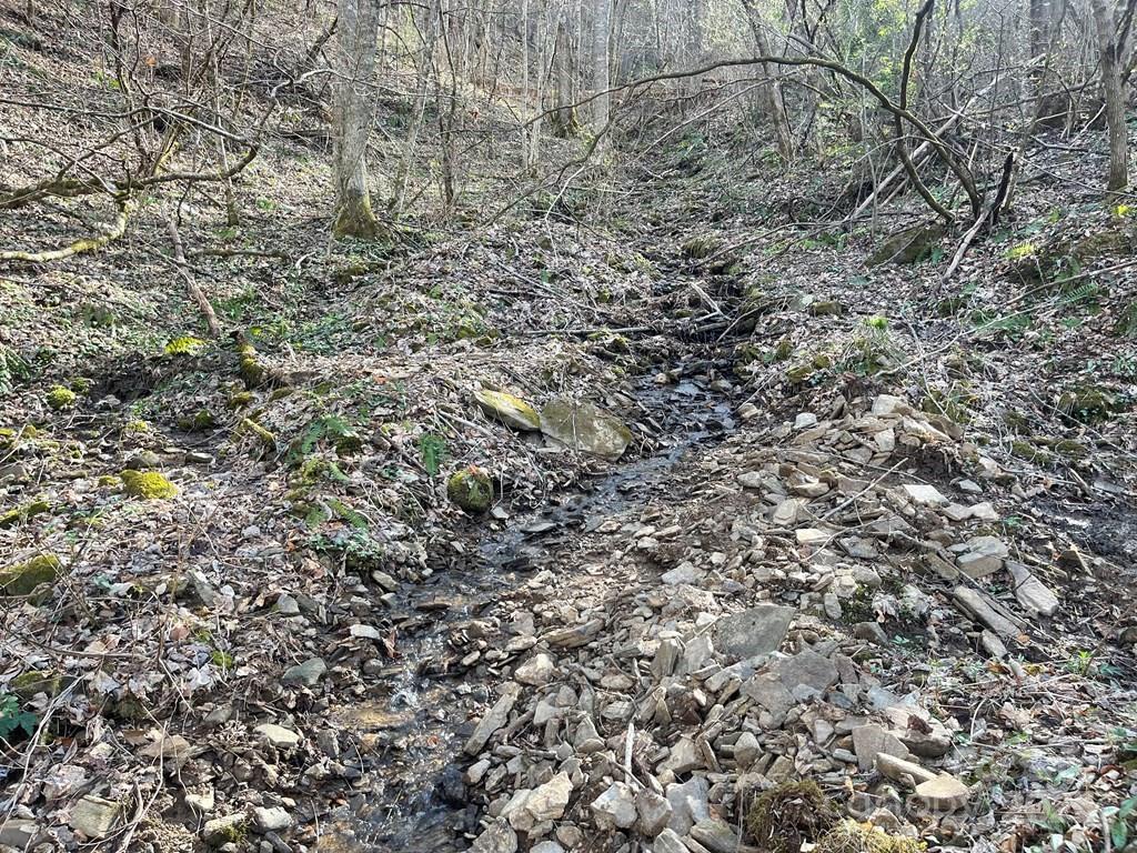 930 Copperhead Cove Road Sylva, NC 28779 - Photo 37 of 48 a view of a yard with a tree