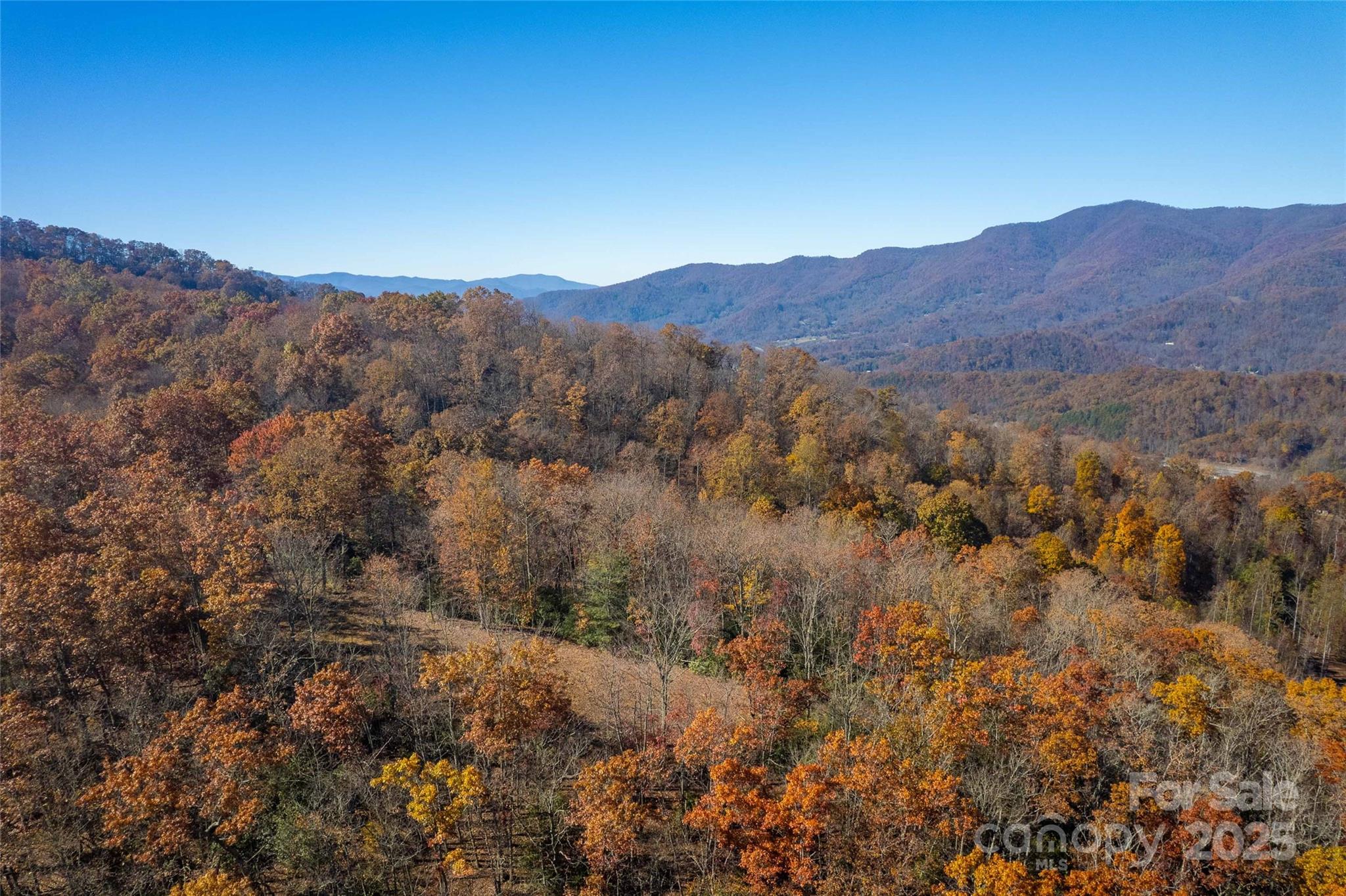 930 Copperhead Cove Road Sylva, NC 28779 - Photo 40 of 48 a view of a lush green hillside and a houses