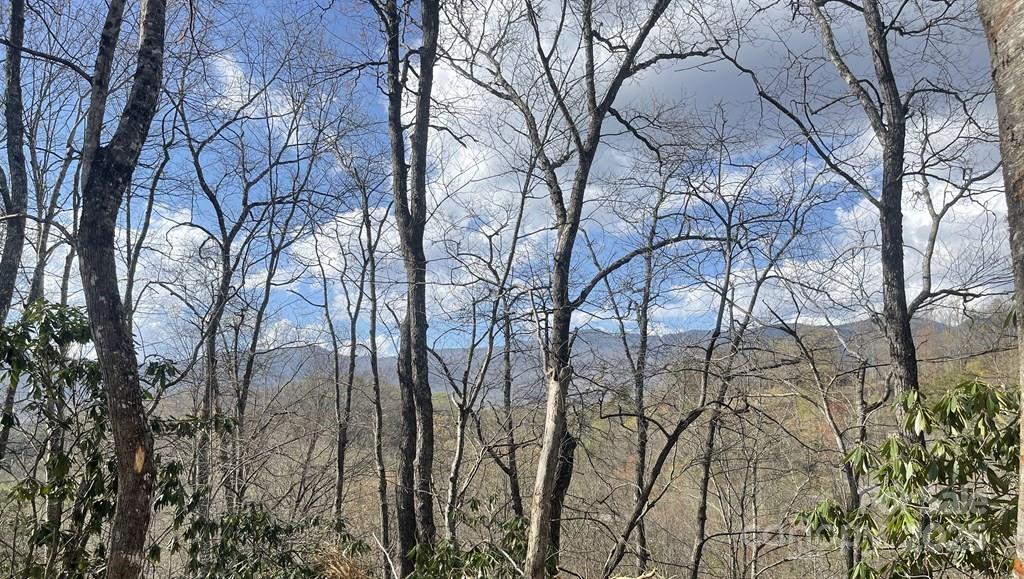 930 Copperhead Cove Road Sylva, NC 28779 - Photo 41 of 48 a backyard of a house with lots of green space