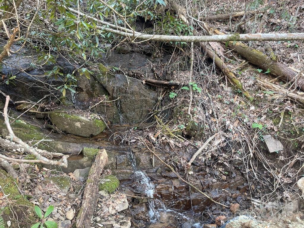 930 Copperhead Cove Road Sylva, NC 28779 - Photo 42 of 48