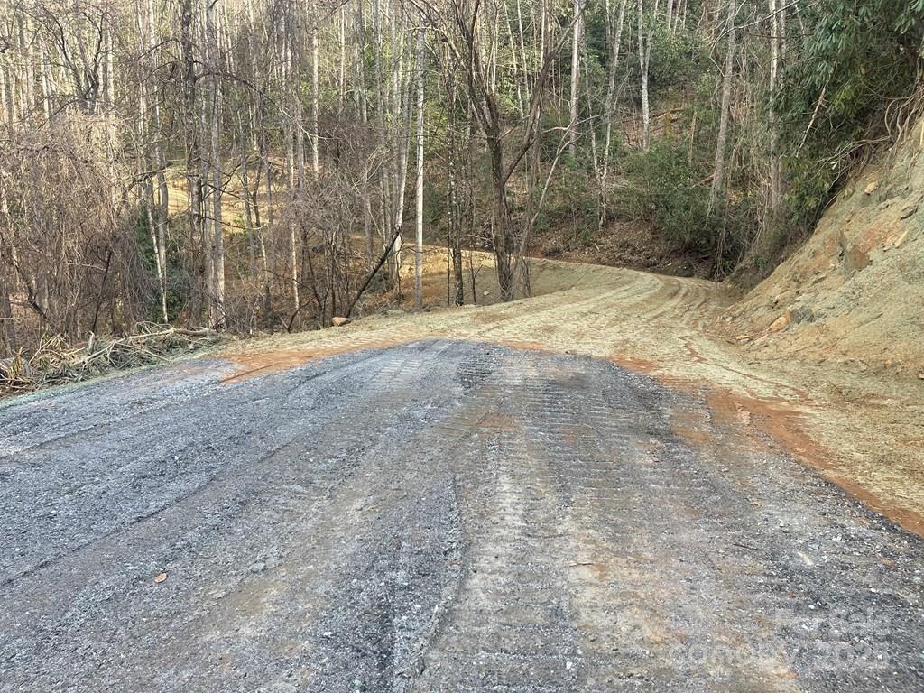 930 Copperhead Cove Road Sylva, NC 28779 - Photo 44 of 48 a view of outdoor space and yard