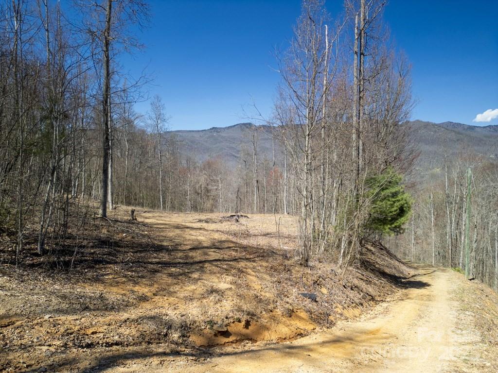 930 Copperhead Cove Road Sylva, NC 28779 - Photo 46 of 48 a view of a backyard of the house