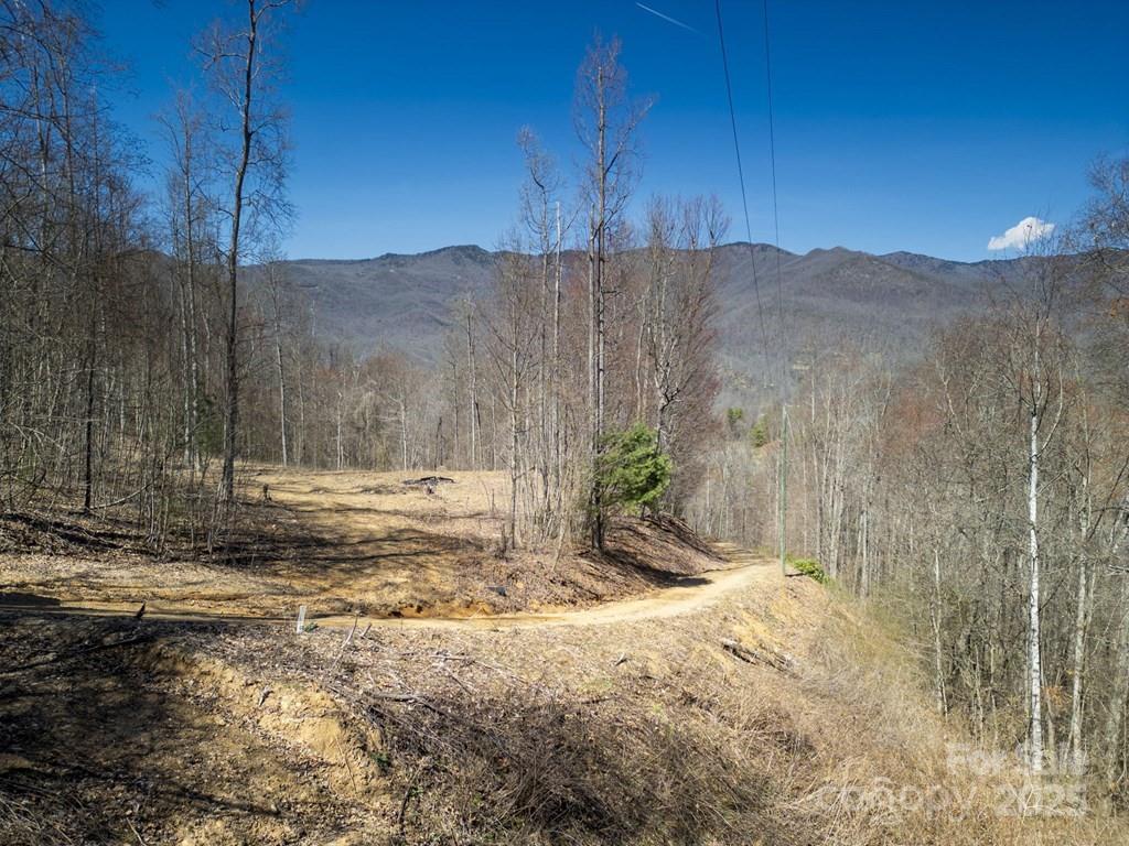 930 Copperhead Cove Road Sylva, NC 28779 - Photo 47 of 48 a view of a backyard of a house