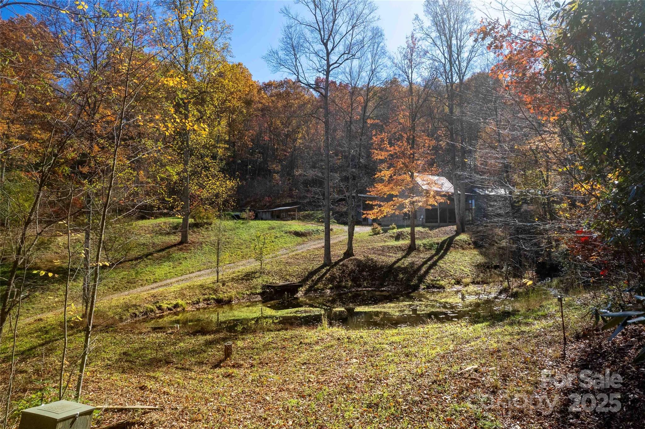 930 Copperhead Cove Road Sylva, NC 28779 - Photo 5 of 48 a view of a yard