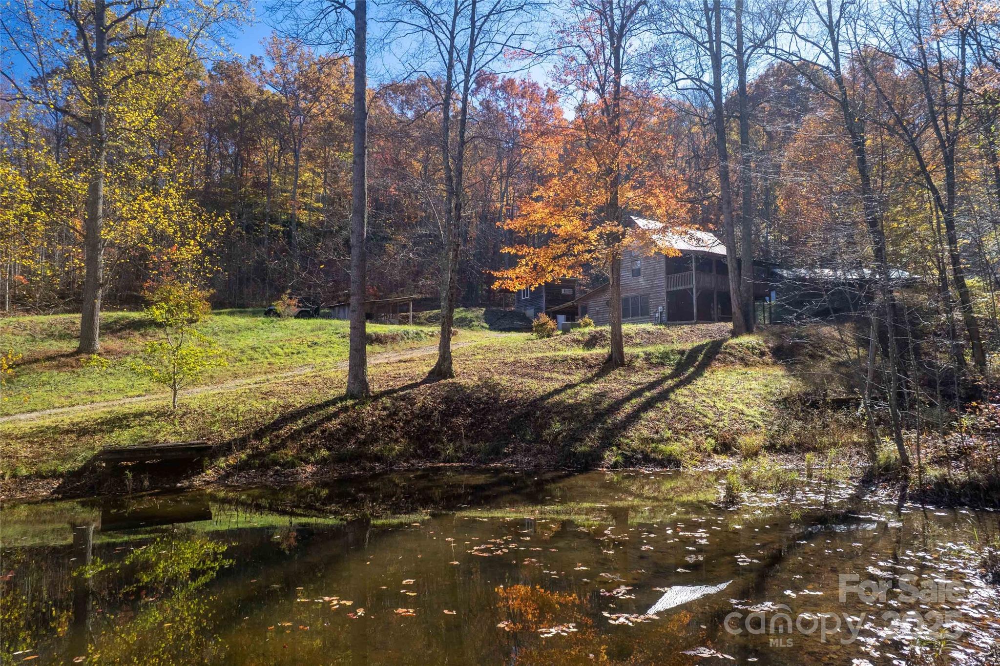 930 Copperhead Cove Road Sylva, NC 28779 - Photo 6 of 48 a view of a yard with large trees