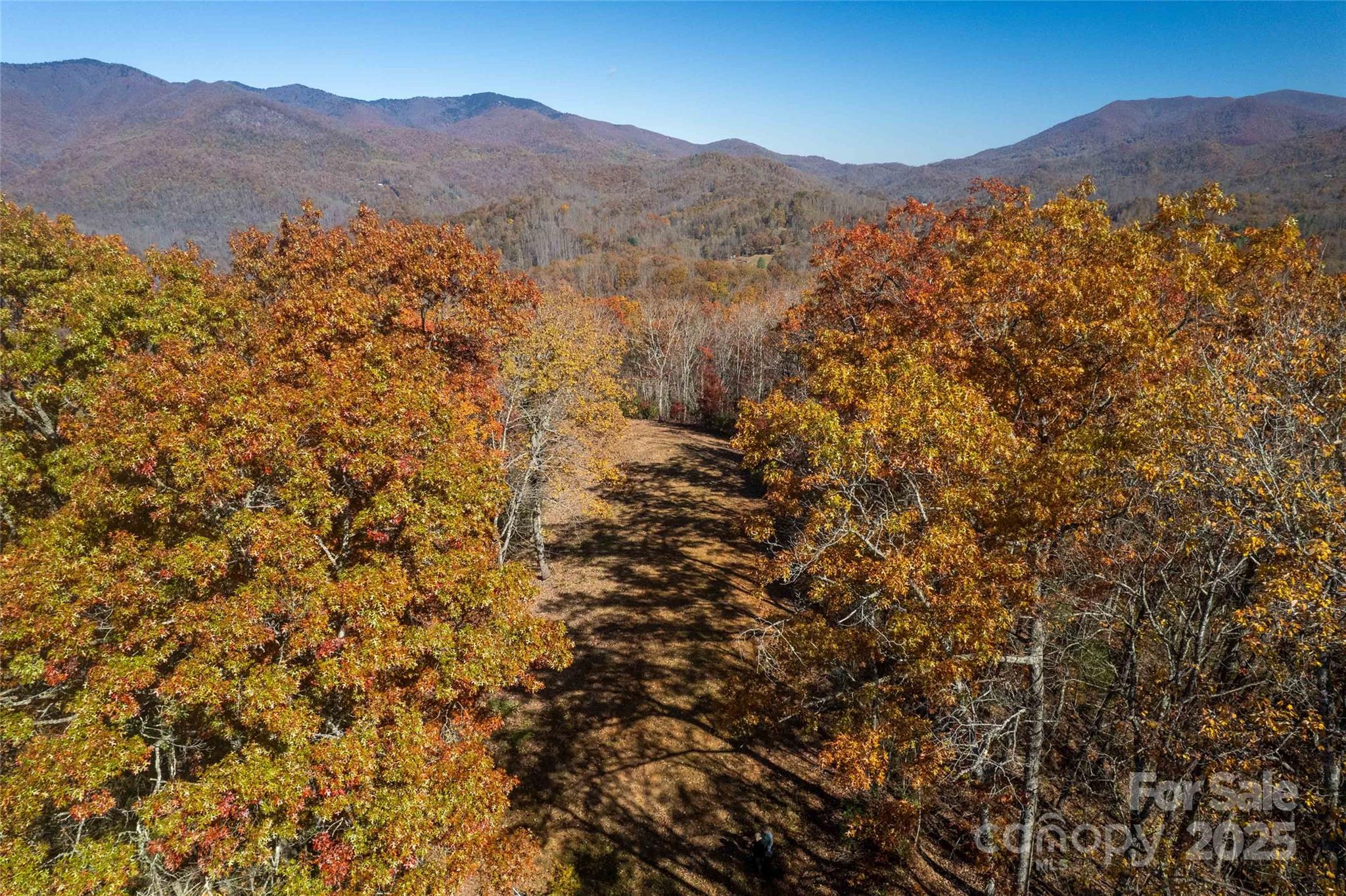 930 Copperhead Cove Road Sylva, NC 28779 - Photo 9 of 48 a view of a mountain range in a cloudy sky