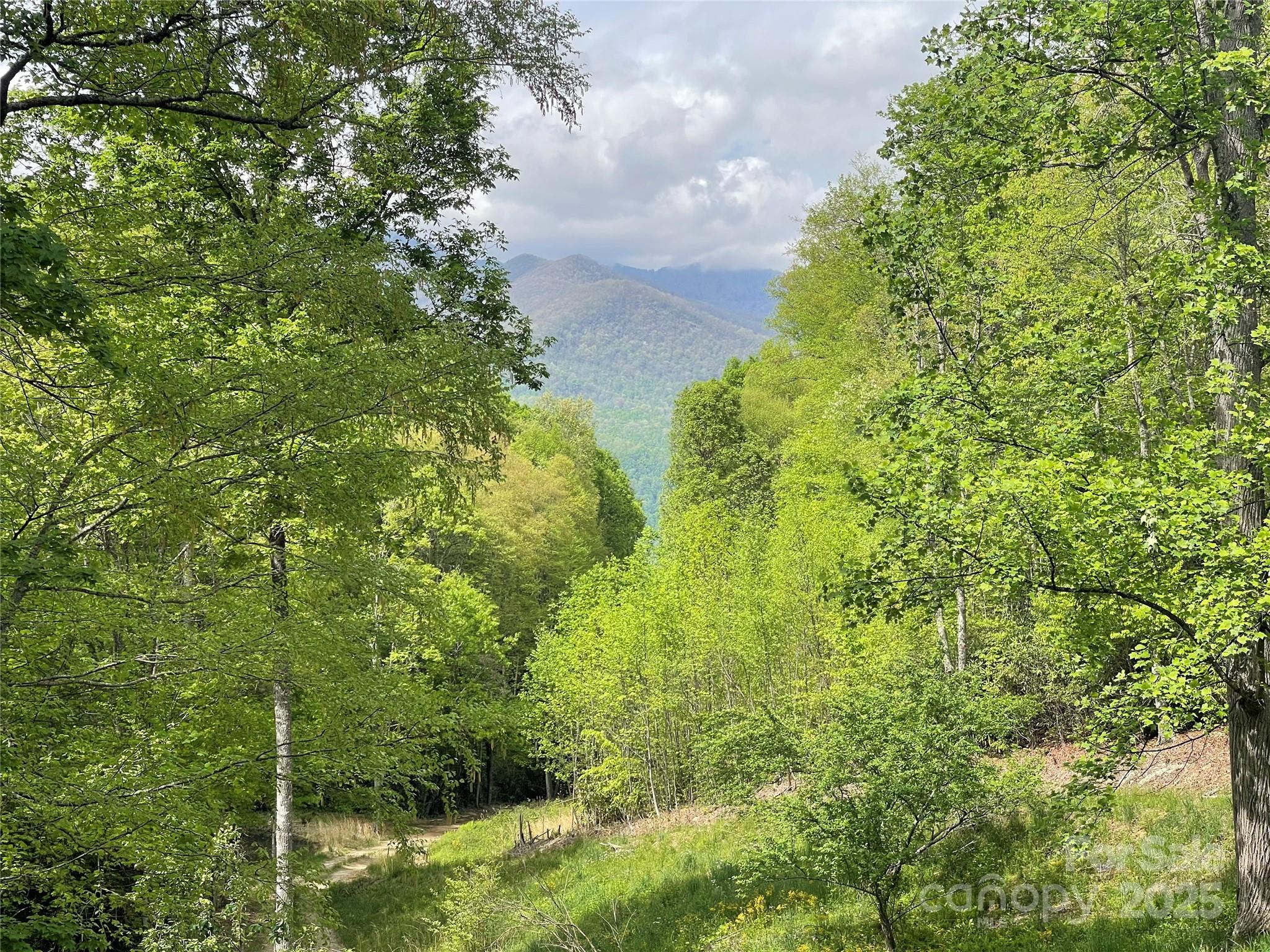 930 Copperhead Cove Road Sylva, NC 28779 - Photo 10 of 48 a view of a garden