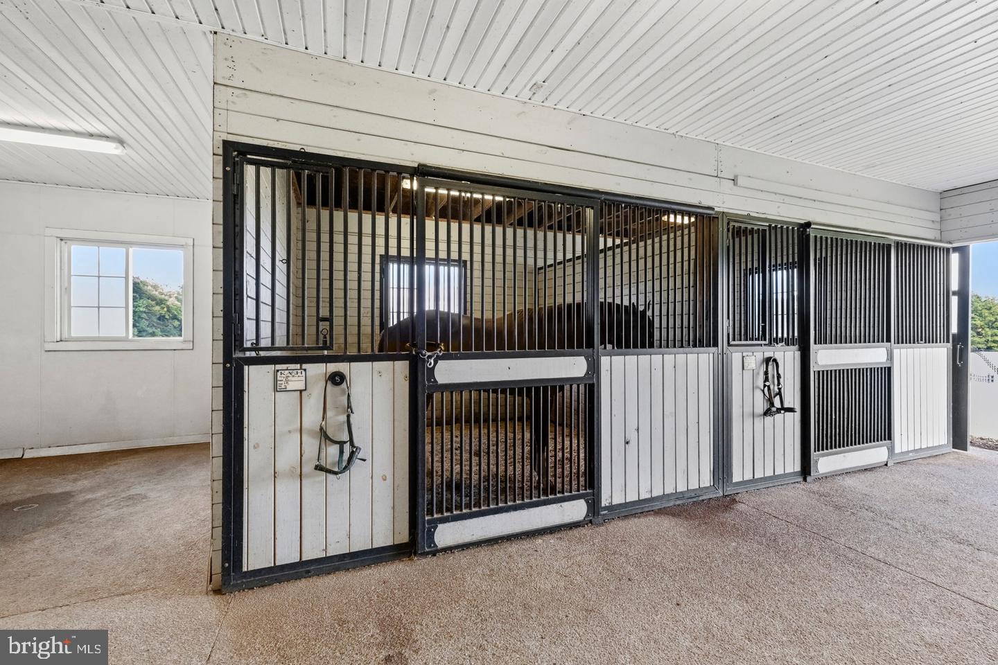 19113 Irby Spring Road Rockville, VA 23146 - Photo 17 of 75 Stable