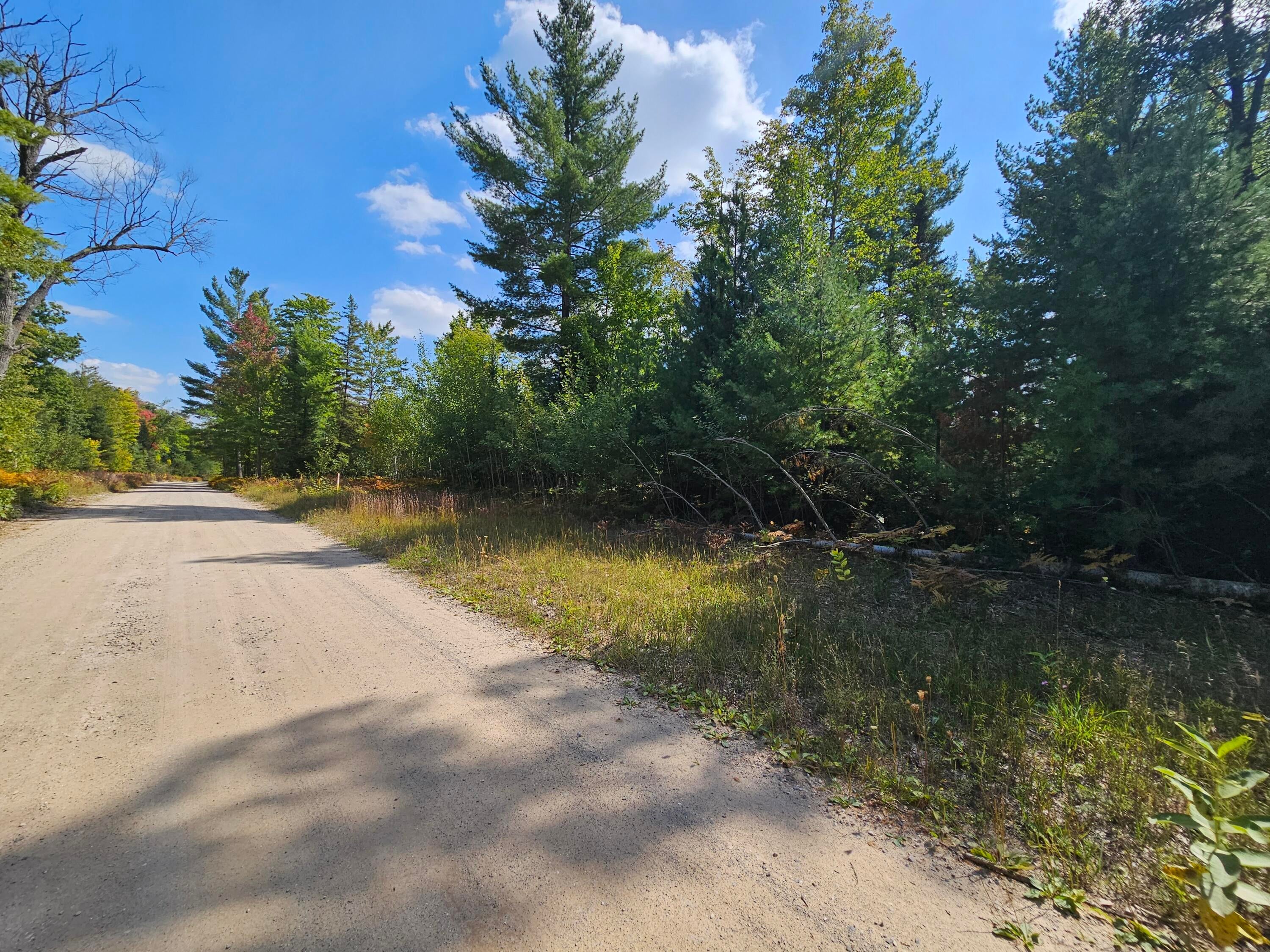 13025 Funk Road Hillman, MI 49746 - Photo 30 of 35 Miller Creek Rd