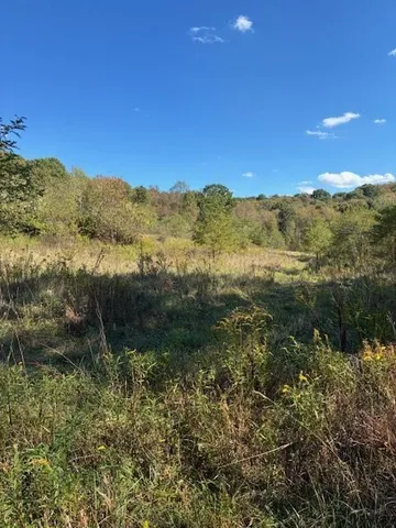 a view of a forest with mountains in the background