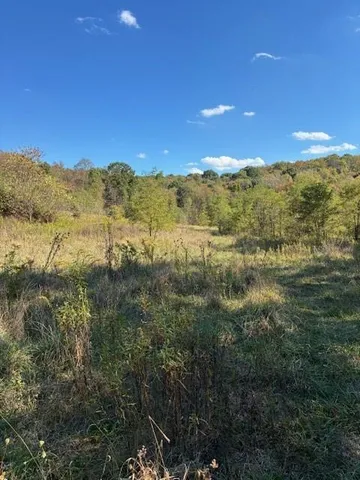 a view of a mountain range with lush green forest