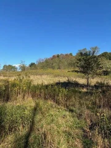 a view of a mountain