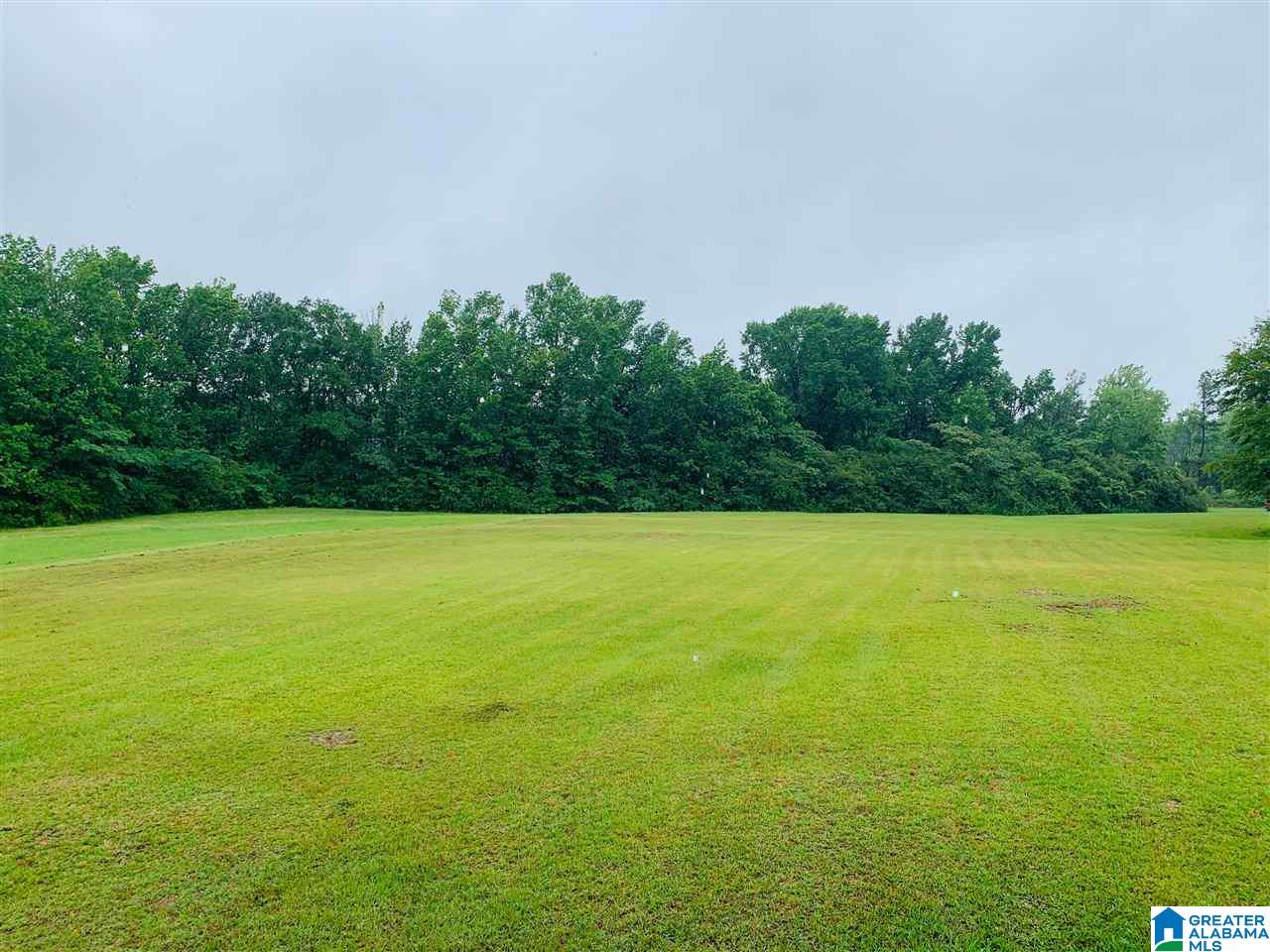 2397 County Road 97 Verbena, AL 36091 - Photo 28 of 28