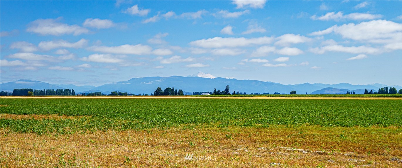 13005 Chilberg Road Mount Vernon, WA 98273 - Photo 8 of 39