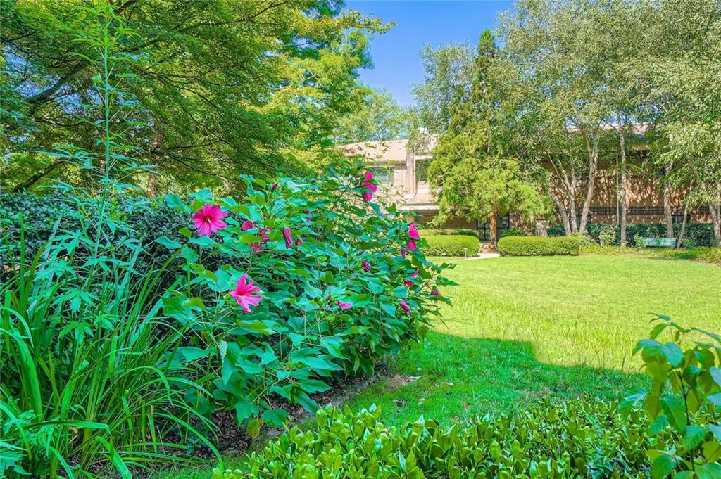 1800 Clairmont Lake, Unit A325 Decatur, GA 30033 - Photo 49 of 51 a view of a yard with plants and trees