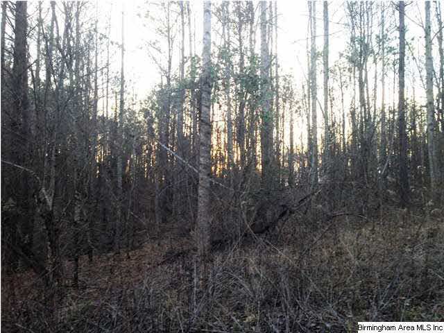 45 County Road, Unit 32 Bremen, AL 35033 - Photo 8 of 9
