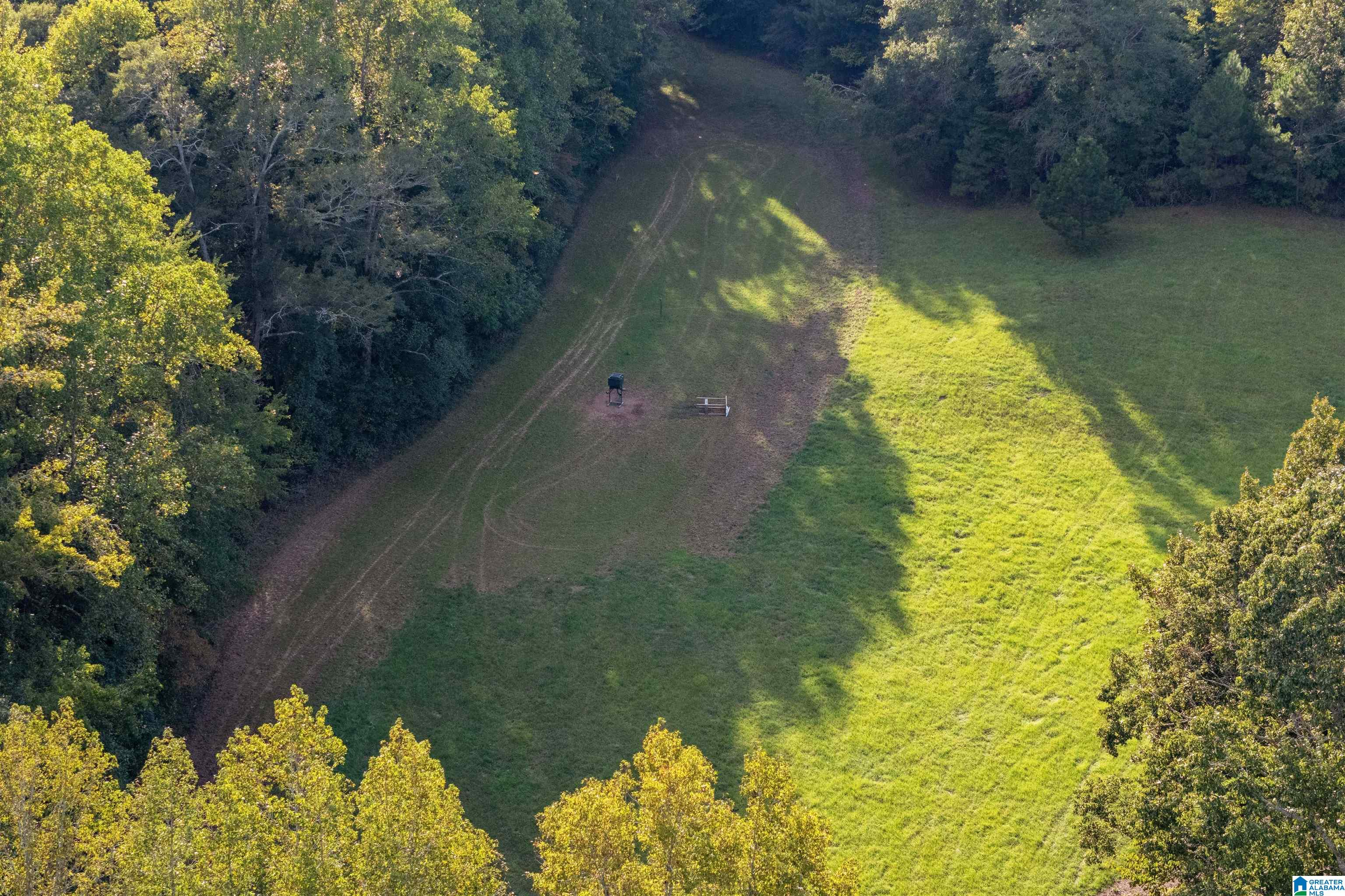 470 Gilham Road Roanoke, AL 36274 - Photo 66 of 70