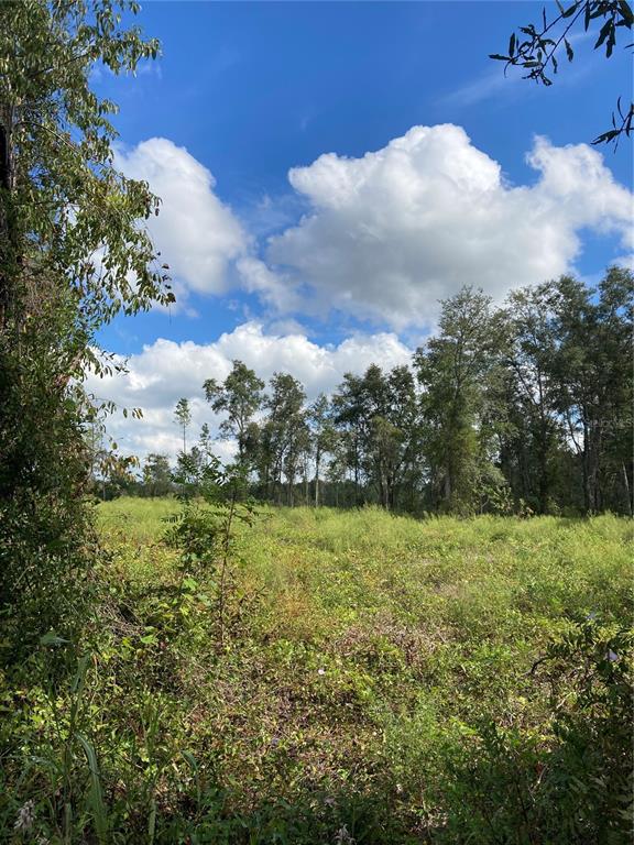5905 Southwest 298th Street Newberry, FL 32669 - Photo 1 of 1