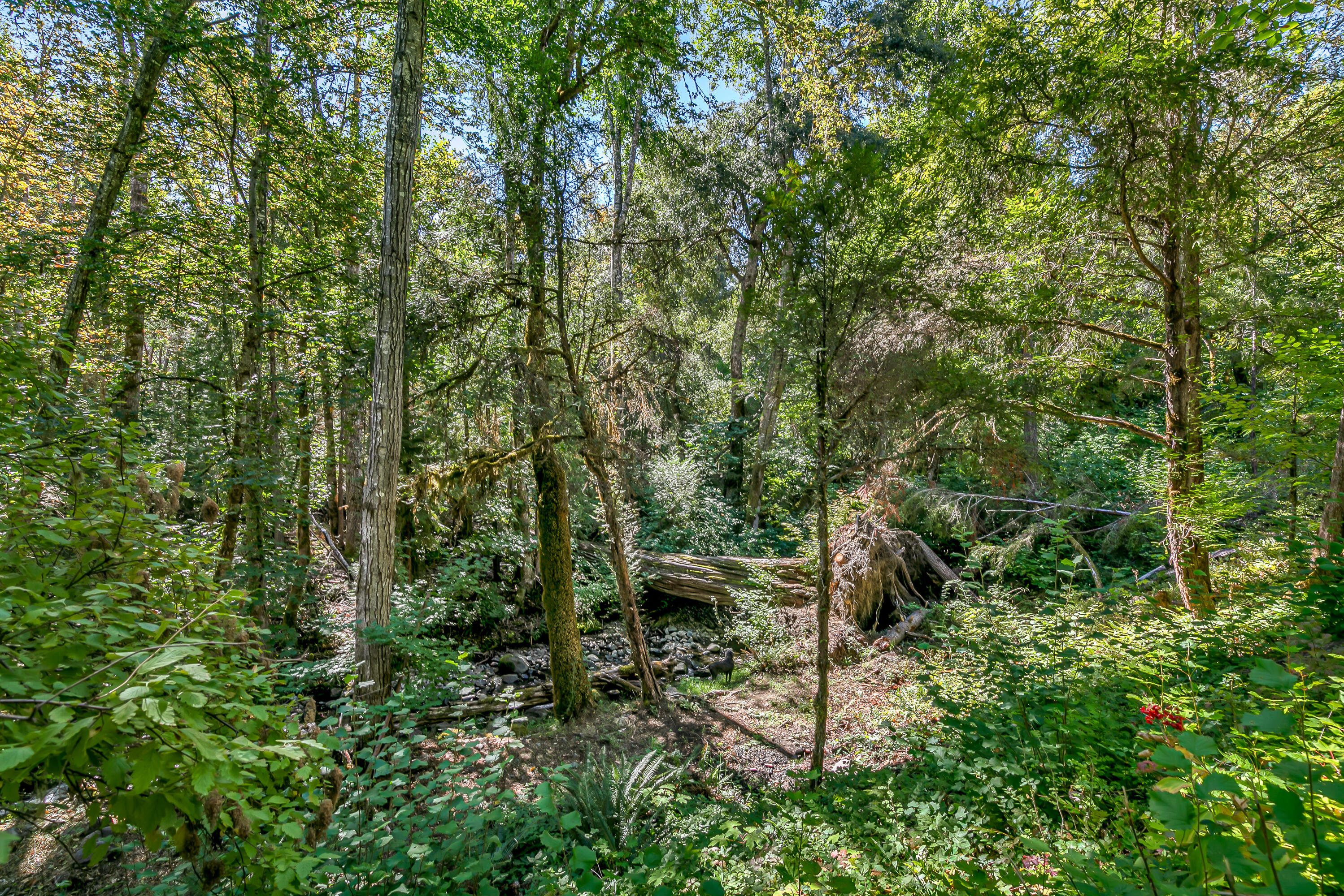 3496 East Fork Road Williams, OR 97544 - Photo 84 of 97 9R9A8286