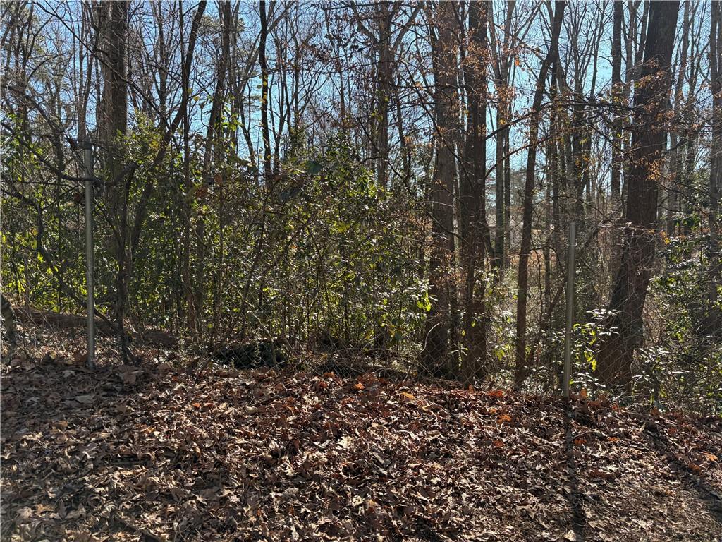 1541 Withmoor Terrace Austell, GA 30168 - Photo 2 of 7 a view of a yard with a tree