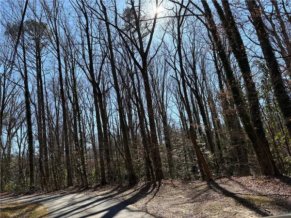 a view of lots of trees