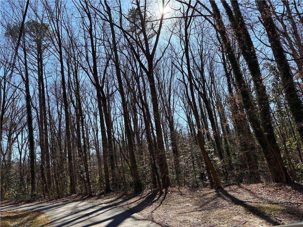 1541 Withmoor Terrace Austell, GA 30168 - Photo 5 of 7 a view of lots of trees