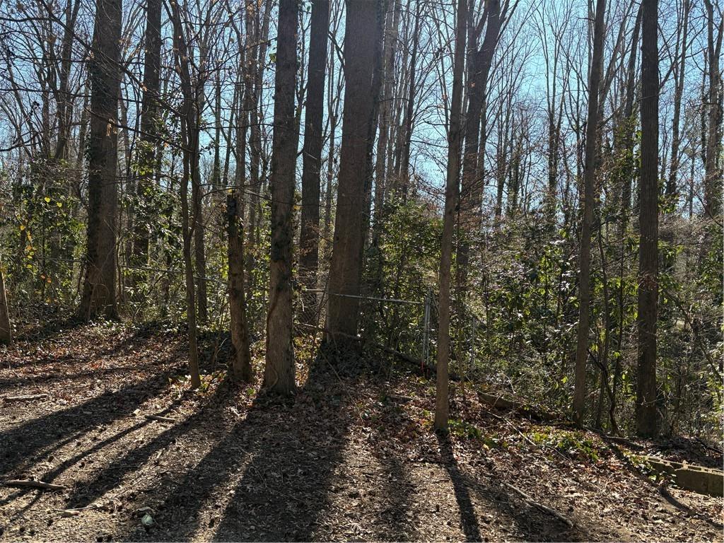 1541 Withmoor Terrace Austell, GA 30168 - Photo 6 of 7 a view of a forest with trees