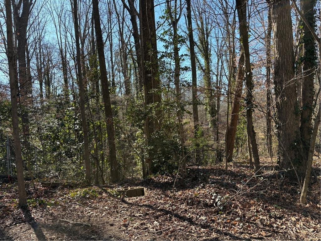 1541 Withmoor Terrace Austell, GA 30168 - Photo 7 of 7 a view of a forest with trees