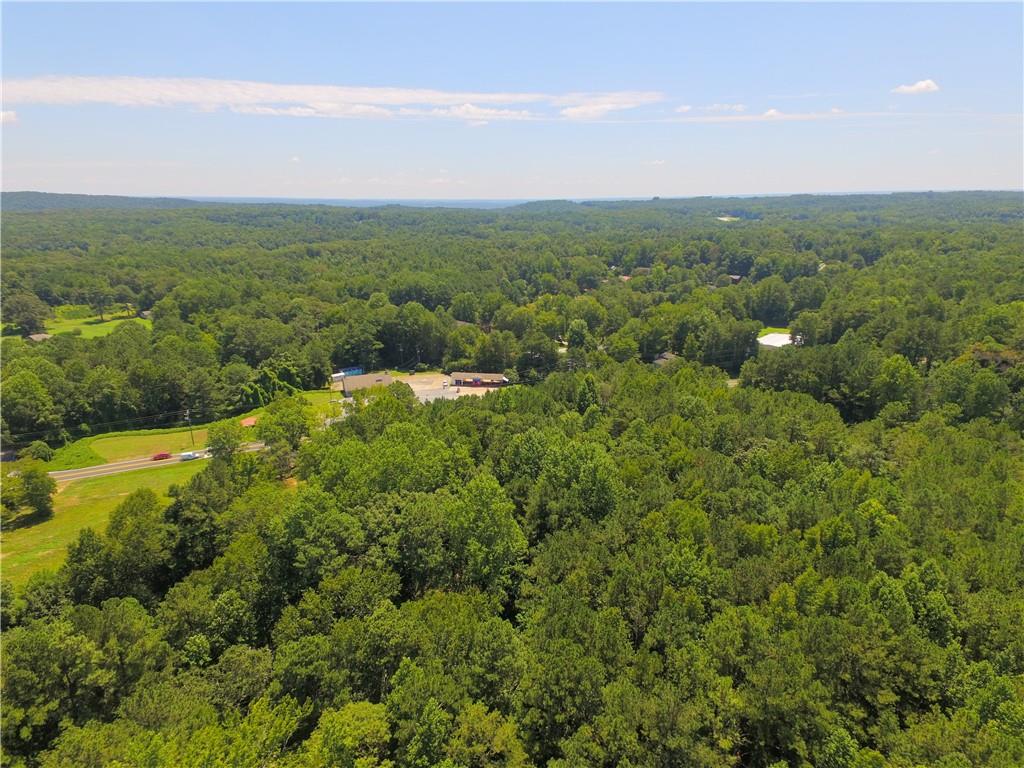 1815 Lee Road Lithia Springs, GA 30122 - Photo 4 of 8 a view of a city with lush green forest