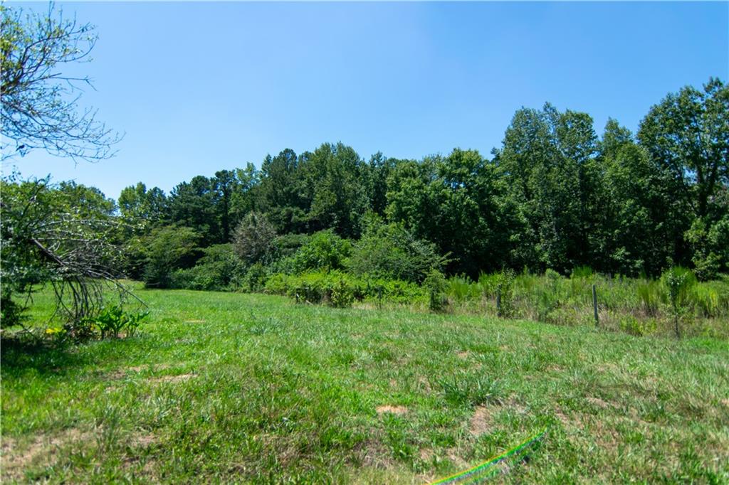 1815 Lee Road Lithia Springs, GA 30122 - Photo 5 of 8 a view of a lush green space